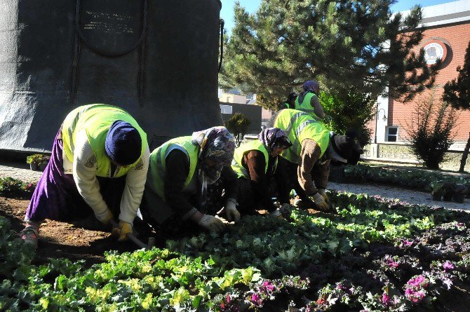 Akşehir Belediyesi çiçeklendirme çalışmalarına başladı