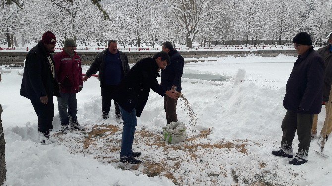 Seydişehir Belediyesi kuşlar için doğaya yem bıraktı