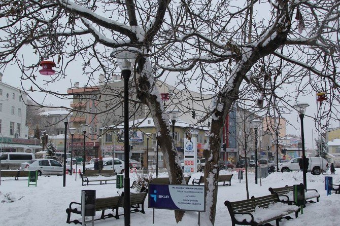 Cihanbeyli’nin dört bir tarafına kuş evleri yerleştirildi