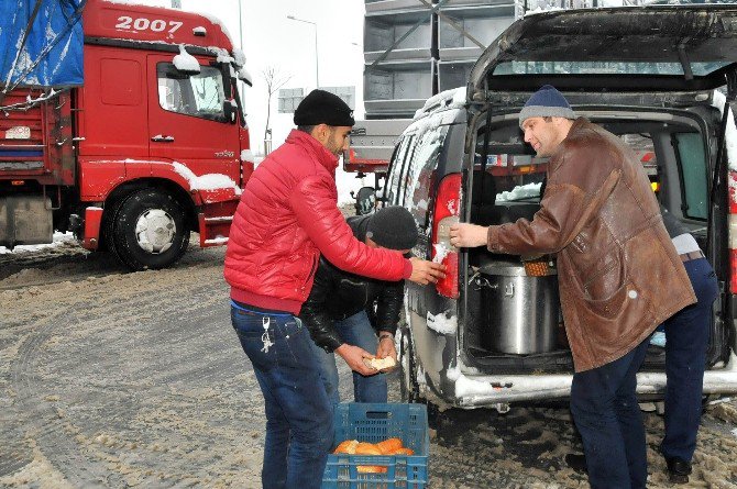 Akşehir Belediyesi sokak hayvanlarını unutmadı