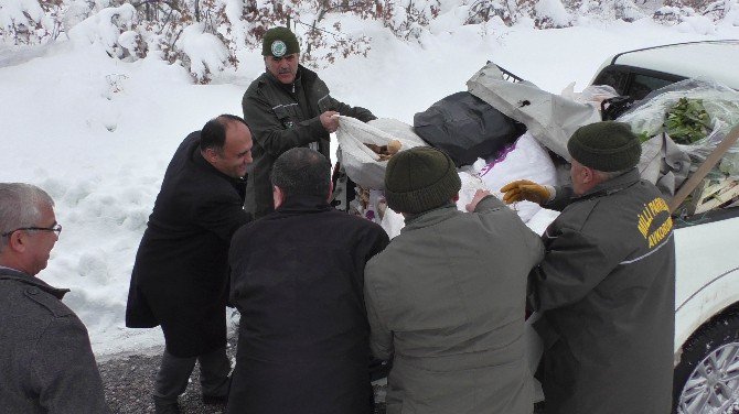 Beyşehir’de vahşi hayvanlar için doğaya yiyecek bırakıldı