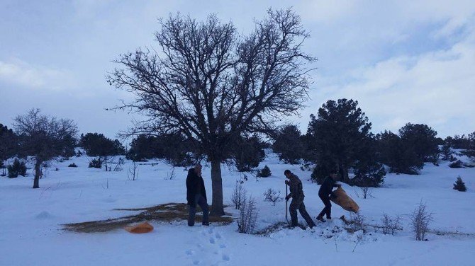 Konya’da kuşlar için doğaya yem bırakıldı