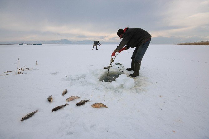 Buz tutan Beyşehir Gölü’nde “Eskimo” usulü balık avı