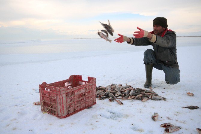 Buz tutan Beyşehir Gölü’nde “Eskimo” usulü balık avı