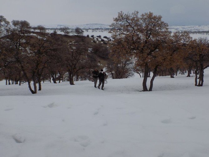 Doğa Koruma ve Milli Parklar ekipleri, kaçak avcılığa göz açtırmıyor