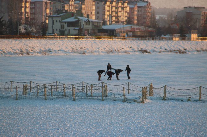 Buz tutan gölde aç kalan köpekler su kuşu avında