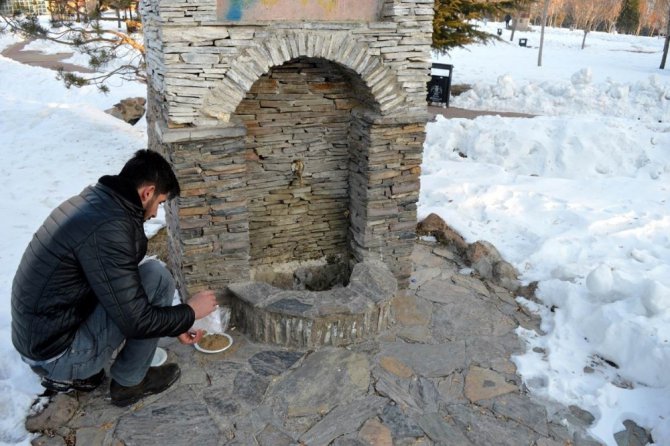 Selçuklu Gençlik Meclisi sokak hayvanlarına sahip çıkıyor