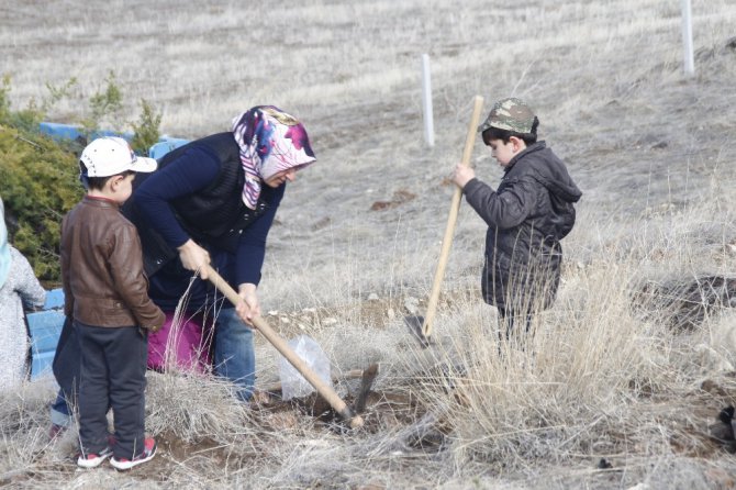 Yunak’ta fidanlar toprakla buluştu