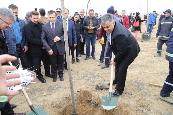 Ereğli’de 15 Temmuz Şehitleri için Hatıra Ormanı oluşturuldu