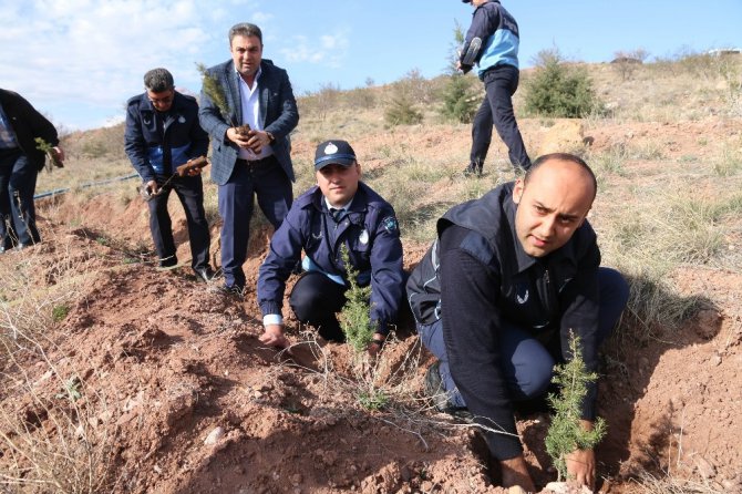 Aksaray Zabıtasından şehitler anısına fidan