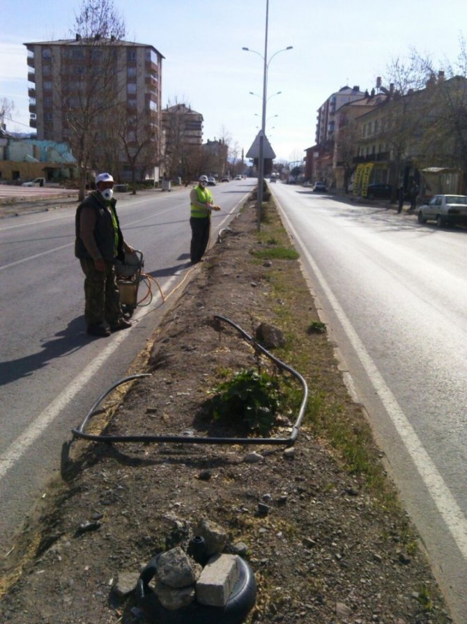 Seydişehir Belediyesinden yabani otla mücadele