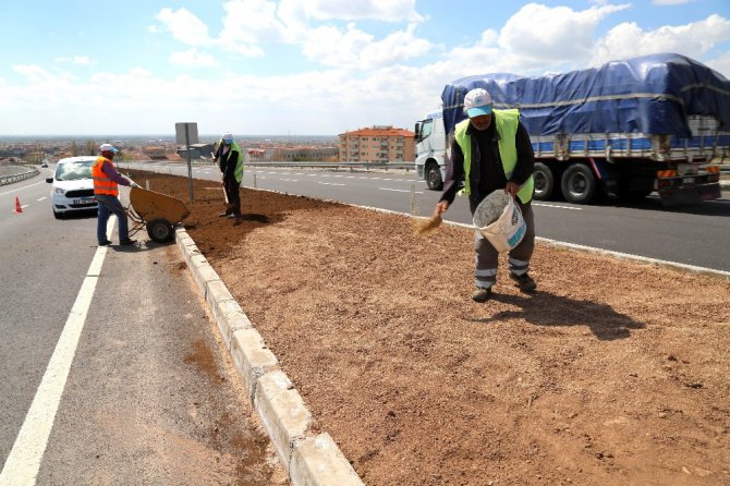 Aksaray Belediyesi, refüj ve yeşillendirme çalışmalarını sürdürüyor