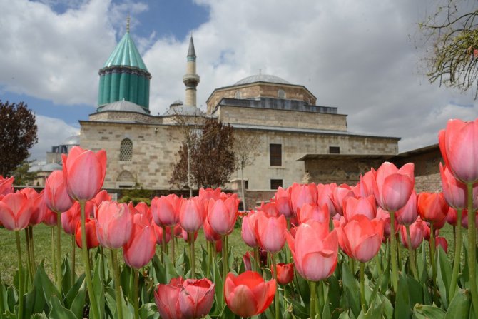 Milyonlarca lale Konya’yı süslüyor