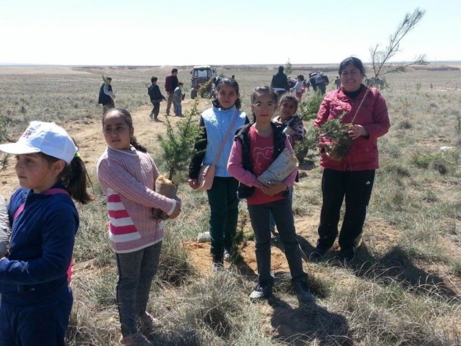 Kulu’da 7 bin 500 fidan toprakla buluşturuldu