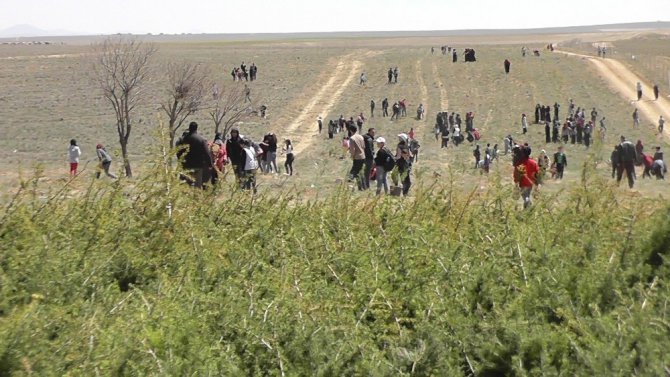 Kulu’da 7 bin 500 fidan toprakla buluşturuldu