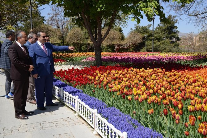 Konya basınına lale gezisi