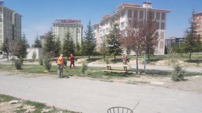 Beyşehir’deki park ve bahçelerde mesai hız kazandı