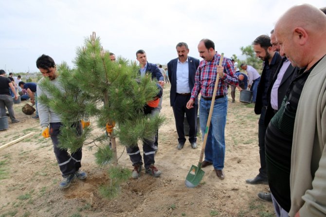 Selçuklu’da sanayi çalışanı gençler bin 71 fidanı toprakla buluşturdu