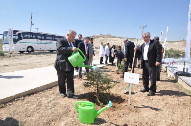 NEÜ’de yüzlerce fidan toprakla buluştu