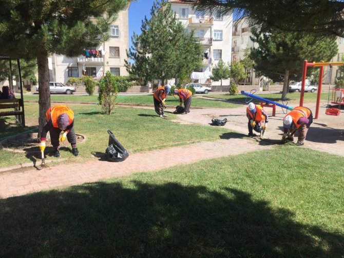 Beyşehir’in park ve bahçeleri kadınlara emanet