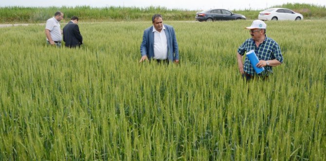 Aksaray’da ekili tarım arazileri denetim altında