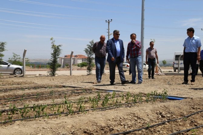 Ereğli hobi bahçeleri sahiplerini bekliyor