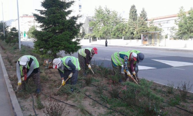 Seydişehir’de park ve bahçelerdeki çalışmalara kadın eli deydi