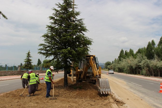 Seydişehir’de damlama sulama hattı yenileme ve çimlendirme çalışması