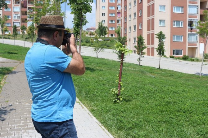 Fotoğraf sevgisiyle MS hastalarına örnek oldu