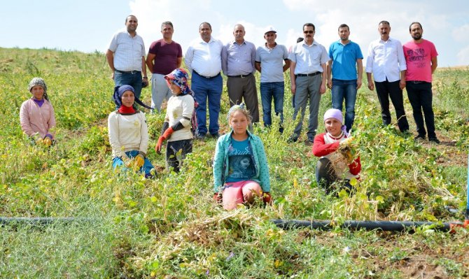 Aksaray’da yapılan gölet kıraç topraklara hayat verdi