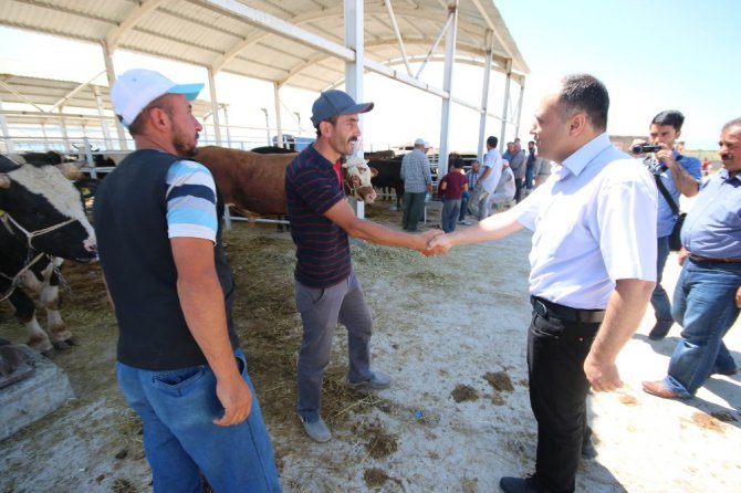 Başkan Özaltun’dan kapalı hayvan pazarı ziyareti