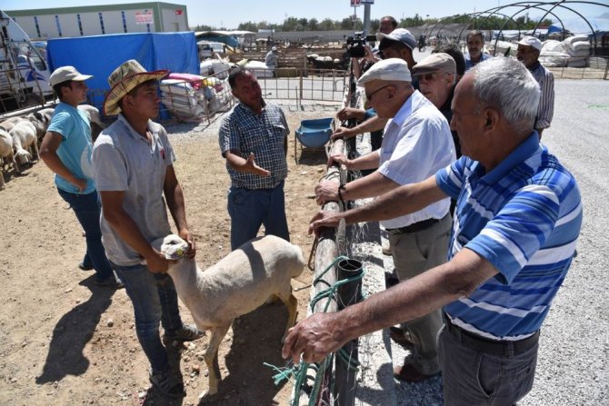 Selçuklu kurban pazarında bayram bereketi