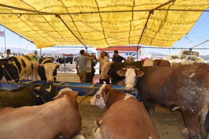 Selçuklu kurban pazarında bayram bereketi