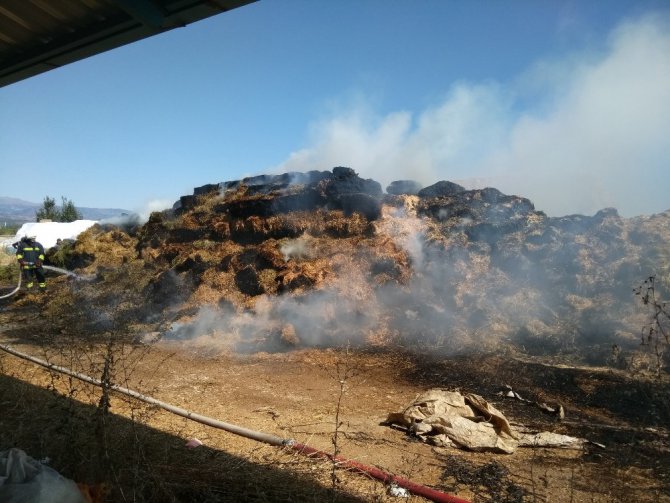 Konya’da 2 bin adet saman balyası yandı