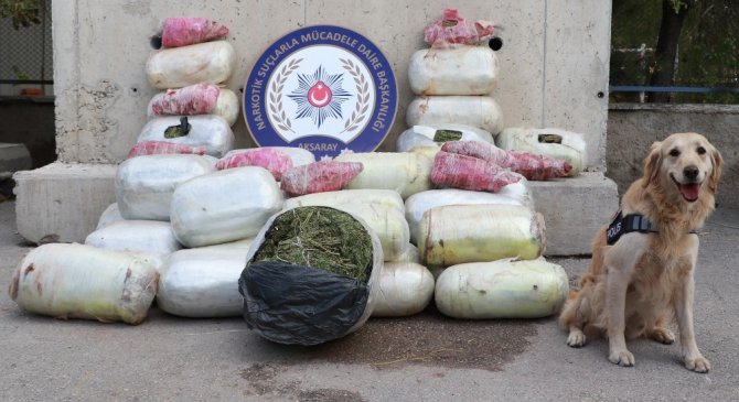 Aksaray’da Suriyeliler 220 kilo esrarla yakalandı