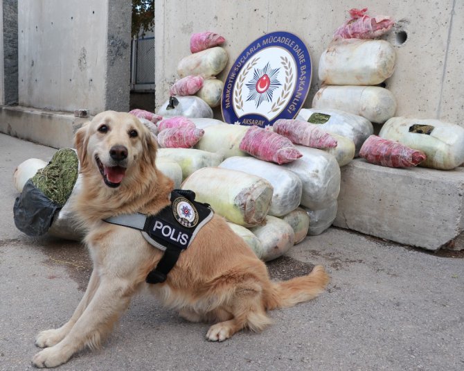 Aksaray’da Suriyeliler 220 kilo esrarla yakalandı