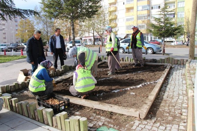 Seydişehir Belediyesi lale, sümbül ve nergis soğan ekimi yaptı