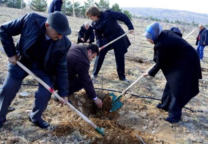 Huzurevi sakinleri fidan dikti