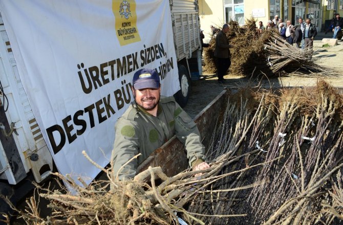 Büyükşehir’den çiftçiye 3.5 yılda 25 milyon liralık fidan ve fide desteği