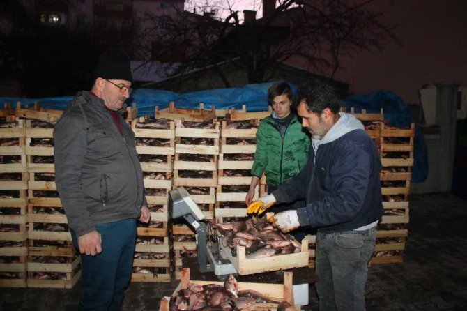 Beyşehir Gölü’nden Suriye’ye “Çin Sazanı” ihracatı