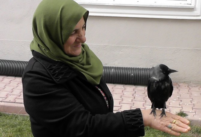 Yavruyken balkonuna düşen kargaya çocuğu gibi bakıyor