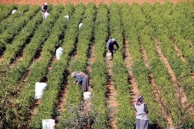 Konya’da 3,5 yılda 129 gölet ve sulama yatırımı hayata geçirildi