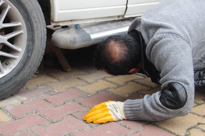 Küçük çocuk yaralı köpeğin başından 1 saat ayrılmadı