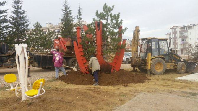 Seydişehir Belediyesinden ağaç duyarlılığı