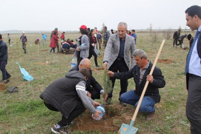 Cihanbeyli’de şehitler için 500 fidan toprakla buluşturuldu