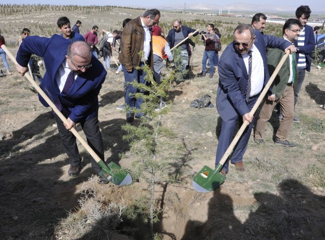 Selçuk’ta, Afrin Şehitleri anısına fidan dikildi