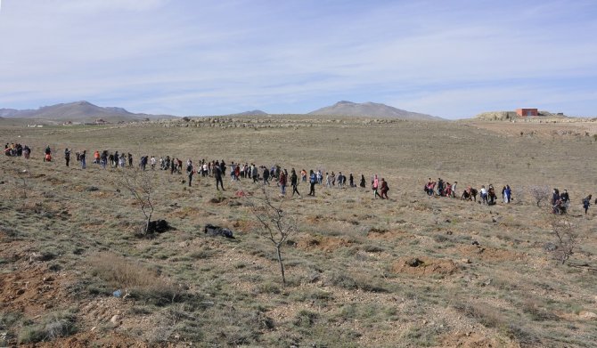 Selçuk’ta, Afrin Şehitleri anısına fidan dikildi