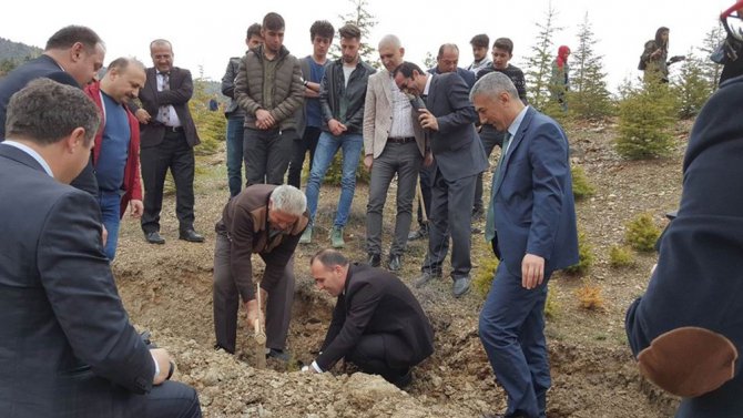 Beyşehir’de 2023 adet orman fidanı toprakla buluşturuldu