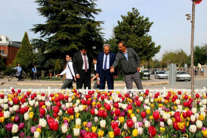 Akşehir açan çiçeklerle renklendi