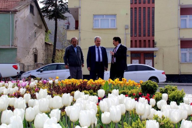 Akşehir açan çiçeklerle renklendi